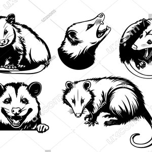 Opossum Set bundle 5 opossum clipart peeking funny opossum tshirt Commercial mignon opossum noir blanc cricu SVG PNG EPS Vector Cut File vinyle