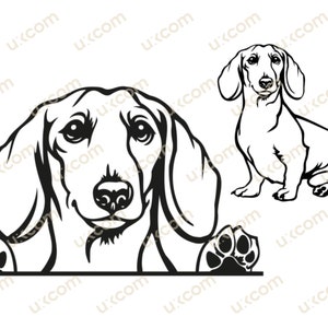 Dackel späht Hund kommerziell lächelnde Welpenpfoten süßes Stammbaum-Logo für Haustierrassen. SVG. PNG Clipart Vektor Cricut Schneiden
