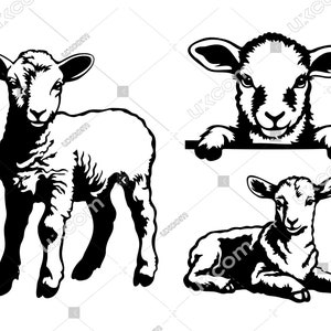 Lamm SVG spähendes Lamm Ganzkörper 3 Dateien Cricut Ostern Schnittdatei Schaf kommerziell CNC Svg Dxf Vinyl Aufkleber Lamm Clipart T-Shirt Schnittdatei Laser