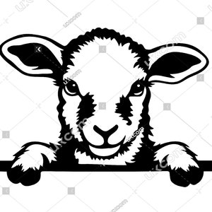 Agnello svg sbirciando agnello cricut Pasqua file di taglio pecora commerciale CNC Svg Dxf vinile decalcomanie agnello clipart tshirt file di taglio sublimazione laser