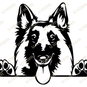 Belgische Tervuerense hond gluren poten gelukkig Belgische Tervuerense SVG Ras Commerciële Stamboom Canine Dxf PNG EPS Clipart Cricut Cut Cutting File
