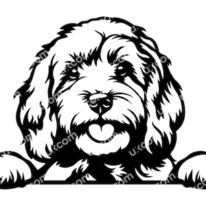 Cavapoo Peeking Dog feliz cockapoo SVG garabato comercial cavoodle CNC Dxf Png EPS Cavapoo Clipart Vector Cricut Archivo de corte vinilo láser garabato