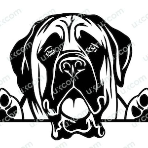 Mastiff Peeking Dog mastiff svg Commercial mastiff Breed Canine Pet Logo PNG EPS mastiff Clipart Vector cute mastiff Cricut Cut Cutting File