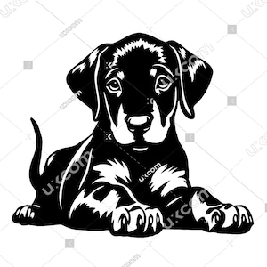 Doberman Pinscher svg doberman cachorro archivo cortado con láser Comercial Canino CNC Logo Svg Png EPS doberman Clipart Vector Cricut Cut impresión de vinilo