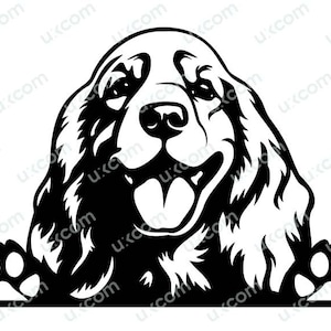 Cocker Spaniel Peeking Dog felice cocker spaniel mamma spaniel amante spaniel file di taglio Logo SVG Dxf PNG EPS Clipart Cricut Taglia File di taglio