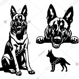 Belgische Mechelaar Gluren Hond 3 Belgische Mechelaar SVG set bundel Belgische Mechelaar laser gesneden bestand CNC SVG Eps Dxf Clipart Vector Cricut vinyl