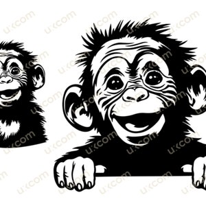 Glückliches Baby-Affen-Portrait späht SVG-Schnittdatei für Cricut, Affen-Clipart, T-Shirt, kommerzielle Grafik, Vinyl-Aufkleber, Logo, Dschungeltiere, dxf, ai, eps
