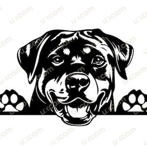 Rottweiler Gluren Hondenras Commerciële rottie moeder Canine Pet Hound Animal Logo SVG PNG EPS dxf Clipart Vector Cricut Cutting File