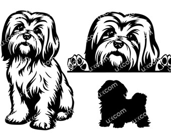 Havanese dog svg havanese Peeking cute havanese set 3 bundle silhouette Commercial for vinyl Svg Dxf PNG EPS AI Clipart Cricut cut file