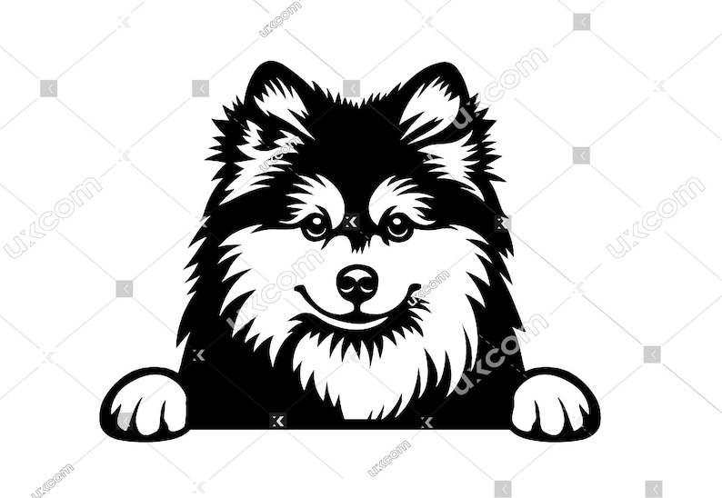 Pomsky SVG Pomsky Peeking Dog Dog Cutting Pomeranian Husky Commercial ...
