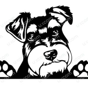 Schnauzer terrier Peeking Dog Breed Pedigree Canine Pet Hound Animal Logo Commercial SVG Dxf PNG EPS Clipart Cricut Cut Cutting File