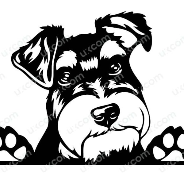 Schnauzer terrier Peeking Dog Breed Pedigree Canine Pet Hound Animal Logo Commercial SVG Dxf PNG EPS Clipart Cricut Cut Cutting File