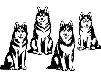 Siberian husky set svg husky full body Commercial happy husky puppy cute husky breed SVG PNG EPS Dxf Clipart Vector Cricut Cut File vinyl