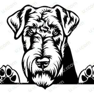 Airedale terrier Peeking Dog Commercial Airedale mom happy Airedale cute dog Airedale SVG PNG EPS Clipart Vector Cricut Cut Cutting File