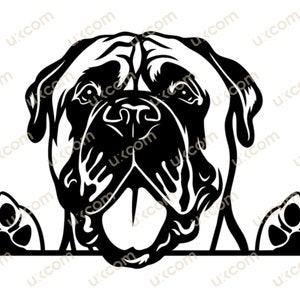 Bullmastiff hond Gluren poten bullmastiff SVG Commerciële Ras Stamboom Canine Hound Animal Logo Dxf png eps Clipart Cricut Cut Cutting File