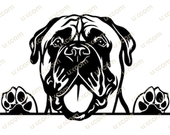 Peut inclure: Illustration en noir et blanc d'un bouledogue anglais regardant par-dessus une surface, ses pattes étant visibles. Le chien a une expression sérieuse.