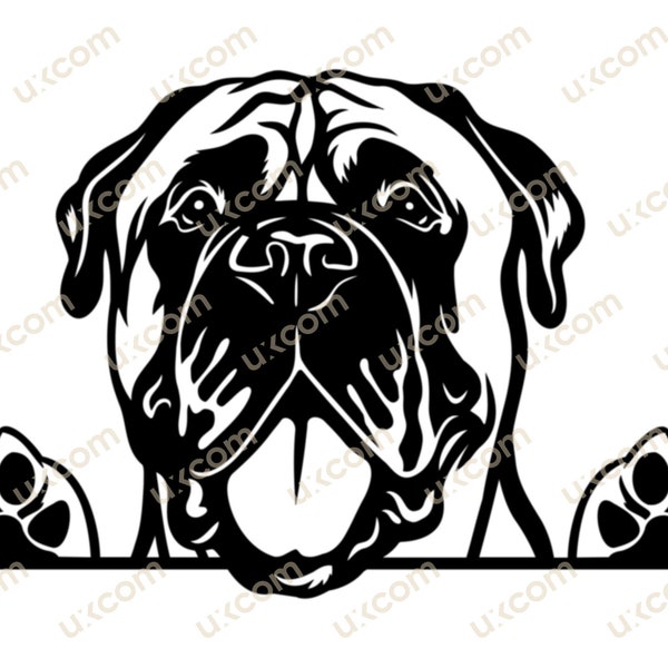 Bullmastiff dog Peeking paws bullmastiff SVG Commercial Breed Pedigree Canine Hound Animal Logo Dxf png EPS Clipart  Cricut Cut Cutting File