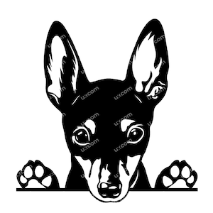 Brinquedo Fox Terrier Espiando Cachorro svg Comercial liso foxterrier amante de cachorro raça fofa decalques de vinil SVG PNG EPS Clipart Vetor Cricut Cut Cutting