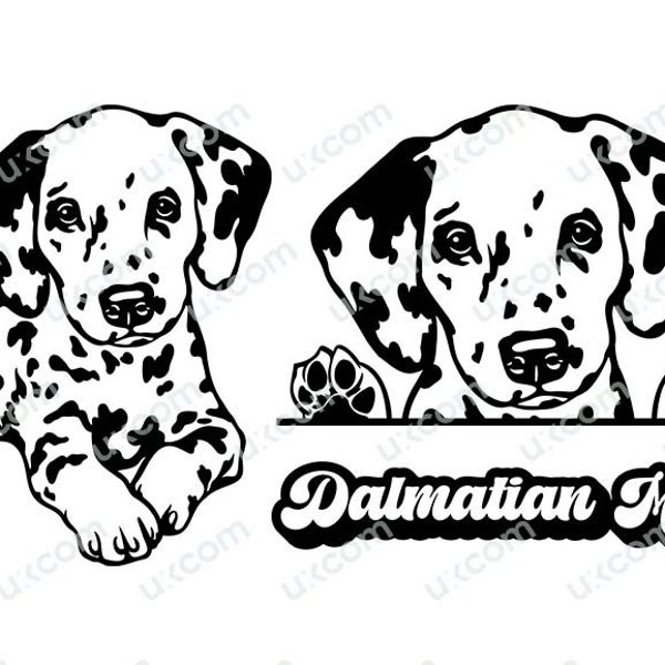 Dalmatian peeking dog 3 svg happy dalmatian puppy dalmatian mom cut file Commercial puppy Logo PNG EPS dxf Clipart Vector Cricut Cutting