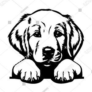 Golden retriever Peeking Dog carino golden retriever svg cucciolo d'oro Commerciale CNC Dxf SVG PNG Clipart Vector Cricut Cut file laser in vinile