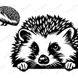 Ouriço espreitando arquivo de corte svg cricut cute hedgehog clipart camiseta silhueta comercial gráfico decalques de vinil logotipo animais da floresta dxf ai eps