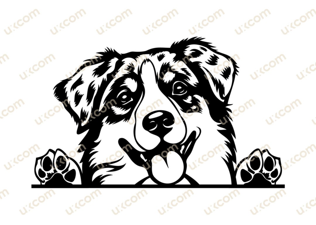 Australian Shepherd Aussie Peeking Dog Svg Breed Commercial Aussie ...