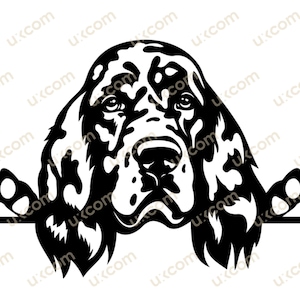 English setter Peeking Dog Commercial breed setter clipart canine pedigree setter pointer SVG PNG EPS Clipart Vector Cricut Cut Cutting File