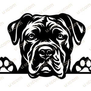 Cane corso svg corso Gluren Paws kegel corso Commerciële hondenras Cane corso cricut gesneden bestand Logo SVG PNG EPS Clipart Vector Cut Cutting