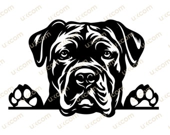 Cane corso svg corso Peeking Paws cone corso Chien commercial Race Cane corso cricut cut file Logo SVG PNG EPS Clipart Vector Cut Cutting