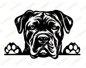 Cane corso svg corso Peeking Paws cone corso Commercial dog Breed Cane corso cricut cut file  Logo SVG PNG EPS Clipart Vector Cut Cutting