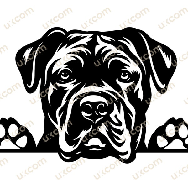 Cane corso svg corso Peeking Paws cone corso Commercial dog Breed Cane corso cricut cut file  Logo SVG PNG EPS Clipart Vector Cut Cutting