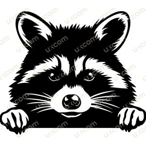 Raton laveur furtivement raton laveur Commercial mignon raton laveur noir et blanc cricut logo tshirt vinyle stickers SVG PNG EPS Clipart vectoriel coupe fichier de coupe