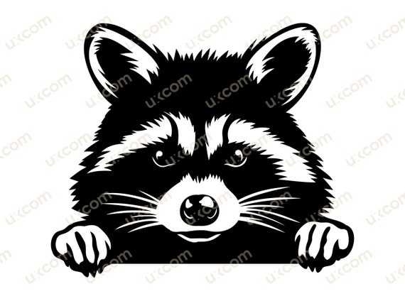 Raccoon peeking raccoon Commercial cute racoon black and white cricut logo tshirt vinyl decals SVG PNG EPS Clipart Vector Cut Cutting File