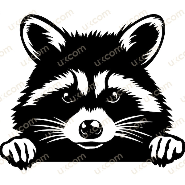 Raccoon peeking raccoon Commercial cute racoon black and white cricut logo tshirt vinyl decals SVG PNG EPS Clipart Vector Cut Cutting File