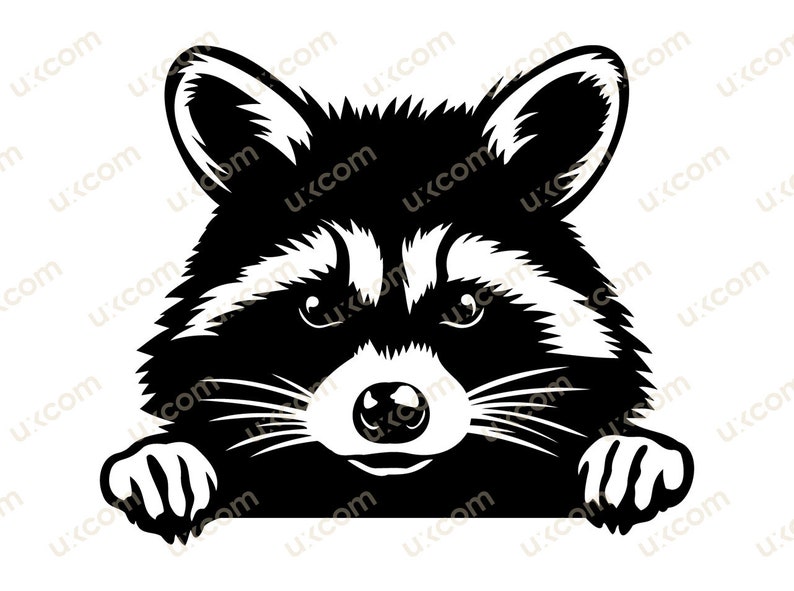 Raccoon peeking raccoon Commercial cute racoon black and white cricut logo tshirt vinyl decals SVG PNG EPS Clipart Vector Cut Cutting File image 1