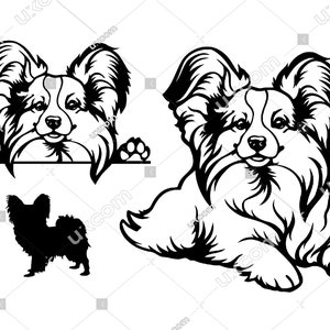 Papillon Peeking Dog 3 set papillon svg papillon moeder schattig papillon vinyl stickers welkom Svg PNG EPS DXF Clipart Vector Cricut Cut File print