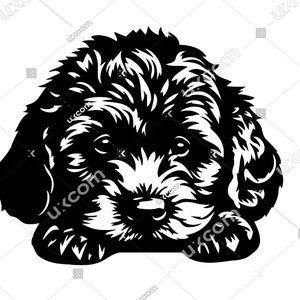 Cavapoo svg Cavapoo Peeking Dog Comercial fofo Cavapoo cachorrinho CNC Svg Dxf Png EPS Cavapoo Clipart Cavapoo Cricut Cut File decalques de vinil a laser