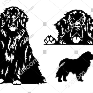 Newfoundlands Peeking Dog Breed Commercial bundle newfoundland Canine set newfoundland svg SVG PNG EPS dxf Clipart Vector Cricut Cut File