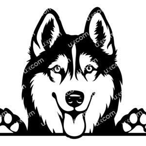 Husky siberiano Espiando Cachorro Husky SVG husky corte feliz husky Raça comercial Canino Dxf Png EPS Husky Clipart Cricut Cut File vinil laser