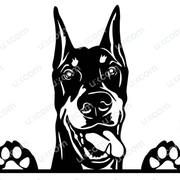 Doberman Pinscher Peeking Dog Paws Commercial Breed Pedigree Canine Pet Animal Logo SVG PNG EPS Clipart Vector Cricut Cut Cutting File