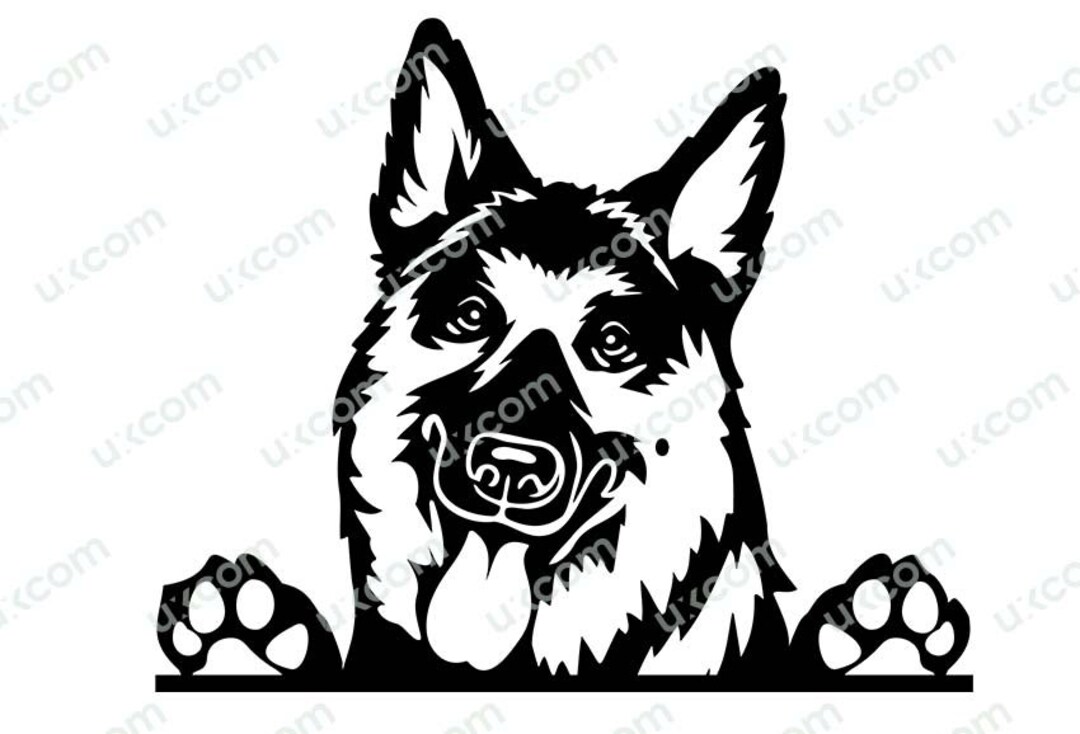 Der Deutsche Schäferhund und sein Verein - Verein für Deutsche Schäferhunde  OG Bad Bevensen, image size:1080x734