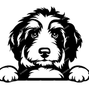 Bernedoodle peeking bernedoodle svg Commercial doodle mom Bernadoodle CNC DXF SvgG Png EPS bernedoodle Clipart Vector Cricut Cut File vinyl