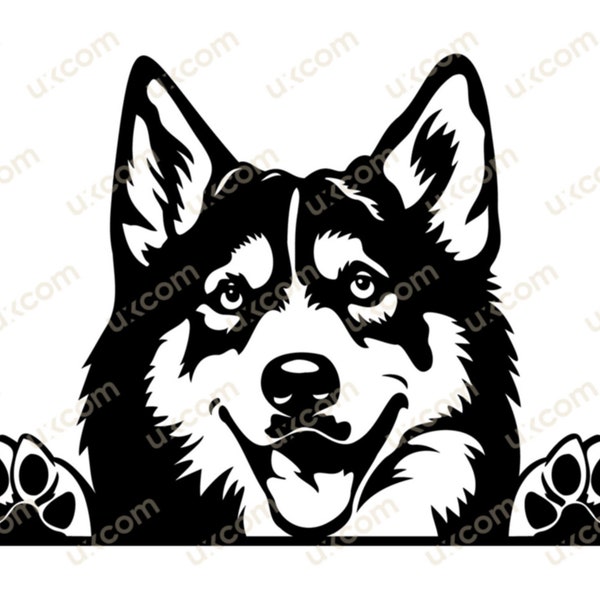 Siberian husky Peeking Dog svg husky mom husky cricut Commercial Breed Pedigree Canine Pet Logo SVG PNG EPS Clipart Vector Cut Cutting File