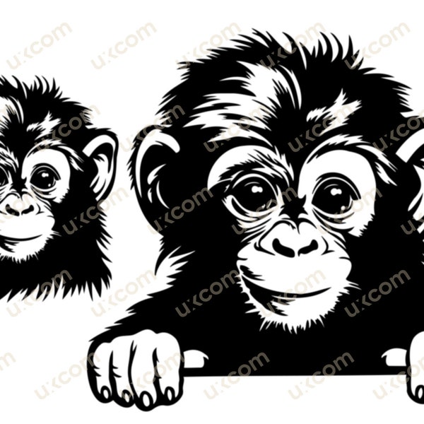 Baby monkey portrait peeking svg cut file cricut cute monkey clipart tshirt commercial graphic vinyl decals logo jungle animals dxf ai eps