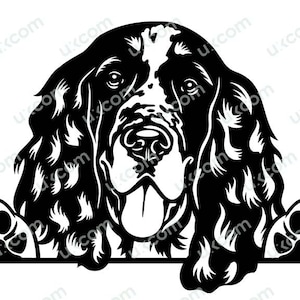 English springer Spaniel Peeking Dog Breed Pedigree Canine Springer svg springerl Clipart black SVG Dxf PNG EPS Ai Cricut Cut Cutting File