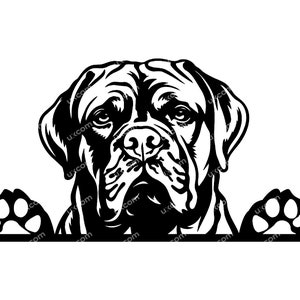 Hond de Bordeaux Gluren Hond de Bordeaux SVG Commerciële Ras Canine Svg Dxf Png Eps Hond de Bordeaux Clipart Cricut Cut Bestand vinyl laser