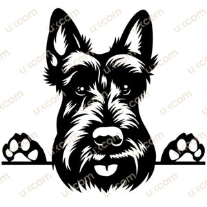 Black and best sale white scottie dogs