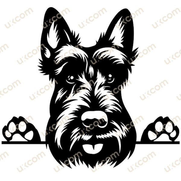 Scottish terrier svg Peeking Dog Commercial happy terrier canine Pedigree PNG EPS Clipart Vector Cricut Cut Cutting File digital download