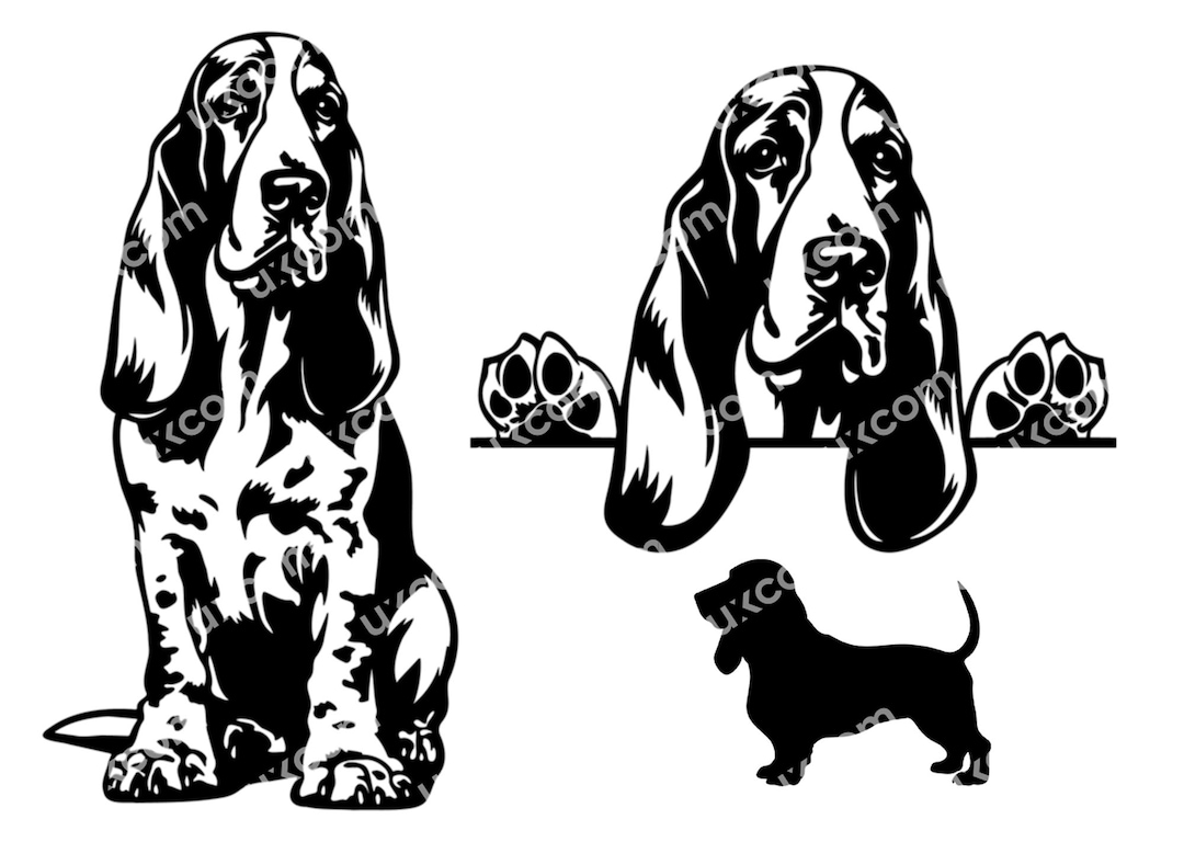 Basset Hound Peeking Dog Paws Basset SVG Dog Breed Basset Clipart Logo Basset Commercial Dxf PNG