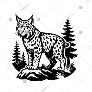 Op de afbeelding: Zwart-wit illustratie van een lynx die op een rots staat, met twee dennenbomen op de achtergrond. De lynx heeft een gevlekte vacht en kijkt naar voren, met opgerichte oren.